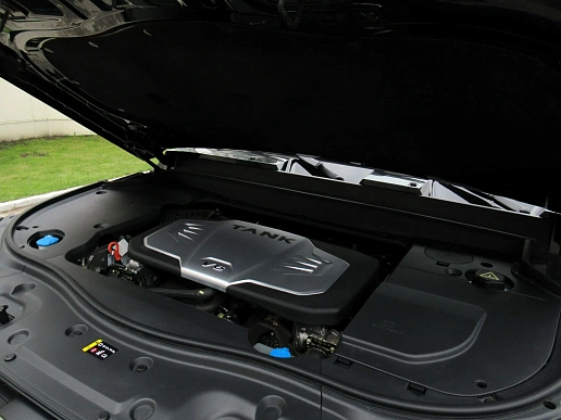 Купить Танк 700 2024г.