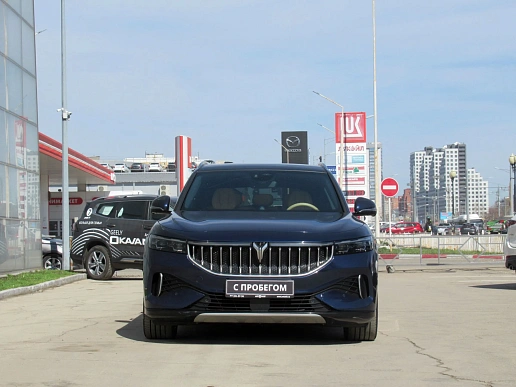 Купить Воя Фри 2022г.